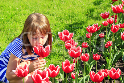 girl smells red tulips on the flower-bed