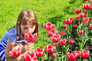 girl smells red tulips on the flower-bed