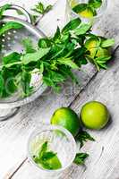 Still life with drink,lime and mint