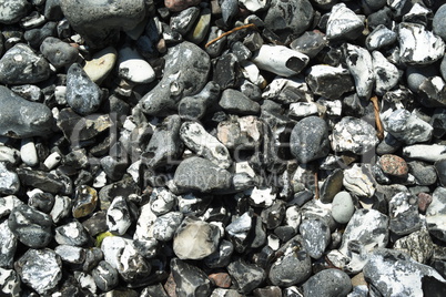 Steine am Steilufer des Jasmunder Nationalparks