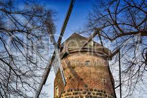 Windmühle in Zons am Rhein