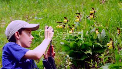 Junge fotografiert Gelben Frauenschuh