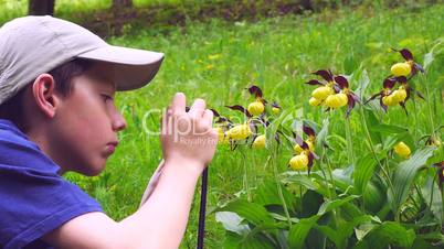 Junge fotografiert Frauenschuh