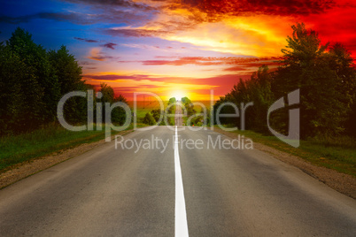 road between trees and beautiful sunset