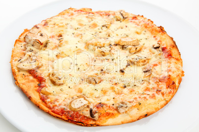 Pizza Funghi