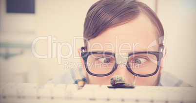 Composite image of snail on a white background