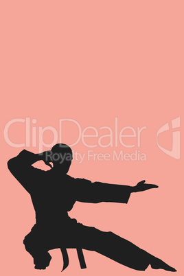 Composite image of fighter performing karate stance