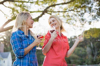 Beautiful women talking while having a glasses of red wine