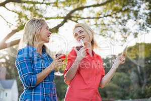 Beautiful women talking while having a glasses of red wine