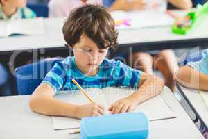 Schoolboy studying in classroom