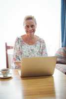 Portrait of smiling senior woman using a laptop