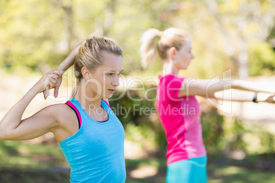 Beautiful young women exercising