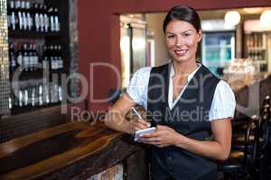 Portrait of waitress taking order in restaurant