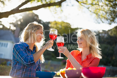 Beautiful women toasting a glasses of red wine