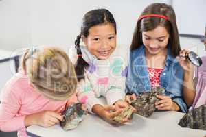 Group of kids looking at specimen stone through magnifying glass