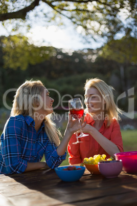 Beautiful women talking while having a glasses of red wine