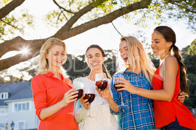 Beautiful women toasting a glasses of red wine