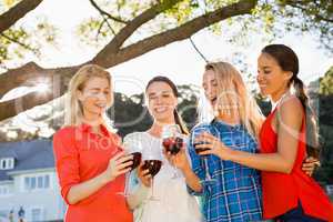 Beautiful women toasting a glasses of red wine