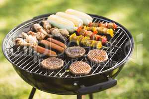Skewers on barbecue grill in garden