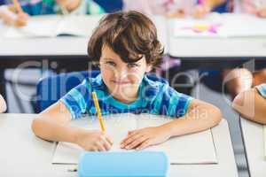 Portrait of schoolboy studying in classroom