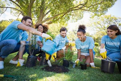 Group of volunteer planting