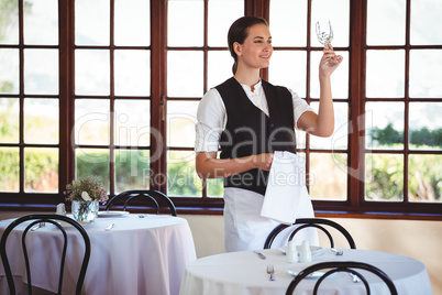 Waitress examining a clean wine glass