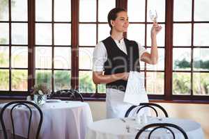 Waitress examining a clean wine glass