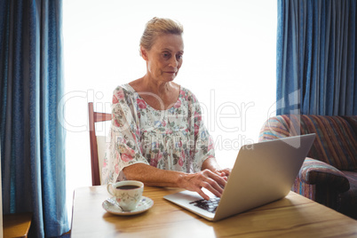 Portrait of concentrated senior woman using a laptop