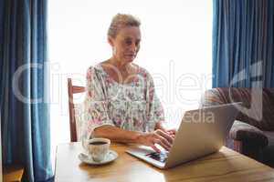 Portrait of concentrated senior woman using a laptop