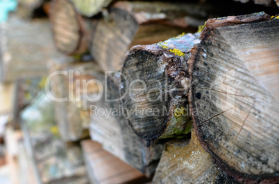 Natural wooden background - closeup of chopped firewood