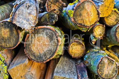 Natural wooden background - closeup of chopped firewood