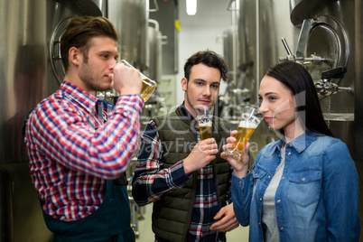 Brewers testing beer at brewery factory