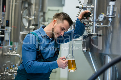 Brewer testing beer