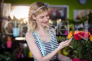 Female florist touching rose flowers