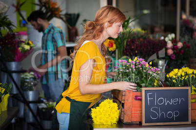 Female florist arranging flower bouquet