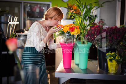 Portrait of female florist smelling rose flowers