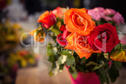 Close-up of orange and red roses