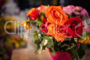 Close-up of orange and red roses