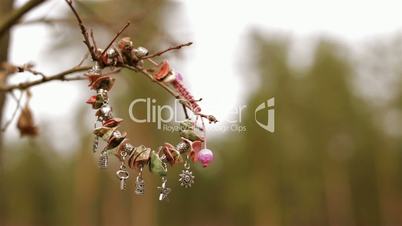 Female bracelet hanging on a tree