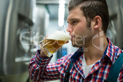 Brewer testing beer