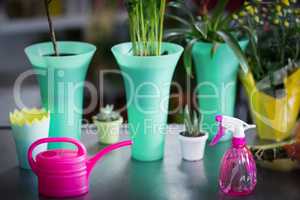 Flower vase, watering can, pot plant and spray bottle on table