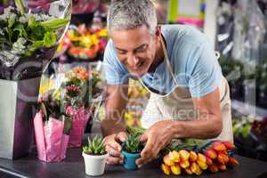 Male florist arranging flower pot