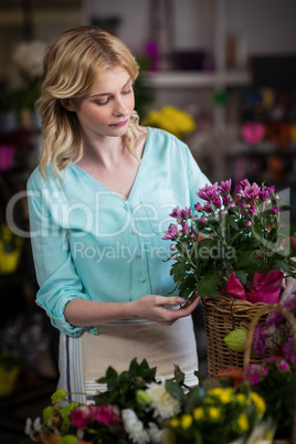 Female florist arranging flowers in basket