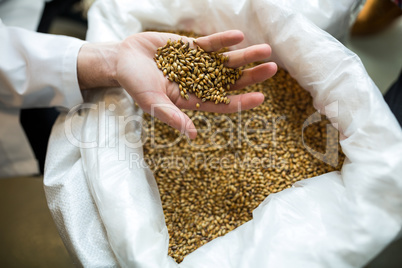Brewer showing grains