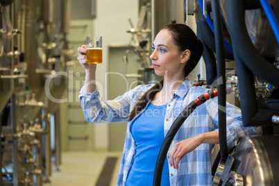 Female brewer testing beer