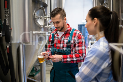 Brewers testing beer with litmus paper