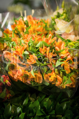 Close-up of bouquet of flowers