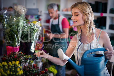 Female florist watering flowers