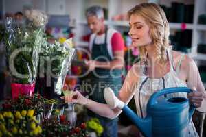 Female florist watering flowers