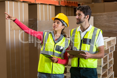 Portrait of workers are looking shelves